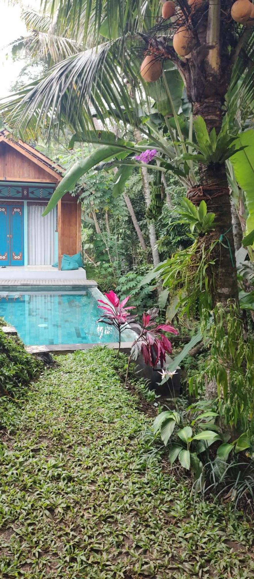 Rumah Guci Ubud Exterior foto